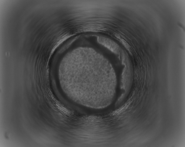 X0000097480779200803201508