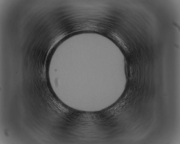 X0000097480780200803201508