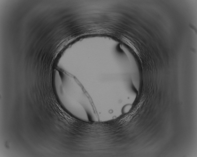 X0000097480781200803201508