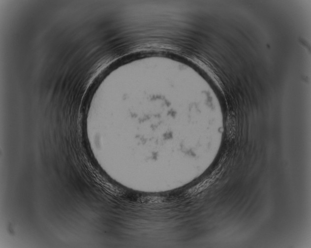 X0000097480783200803201508