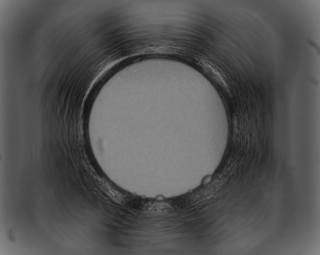 X0000097480784200803201508