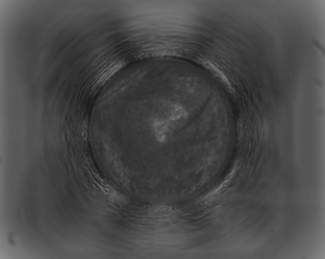 X0000097480785200803201508