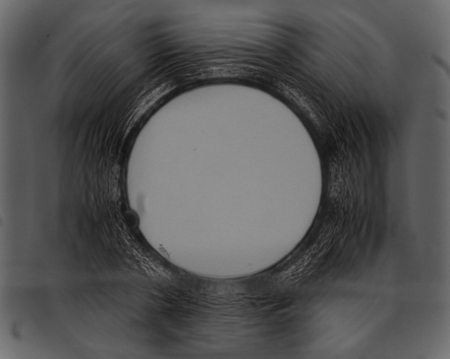 X0000097480786200803201508