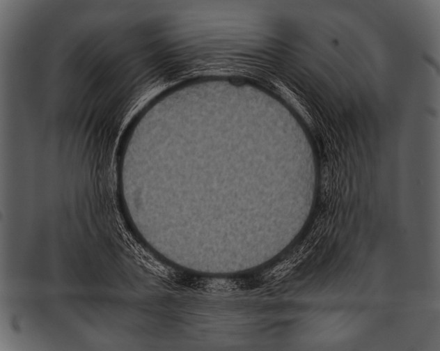 X0000097480787200803201508