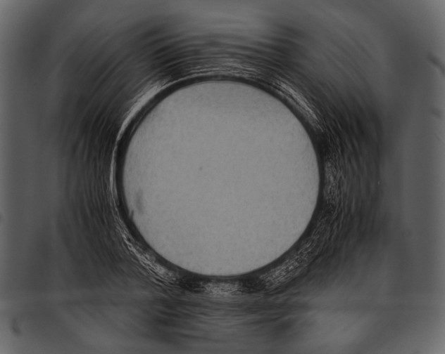 X0000097480788200803201508