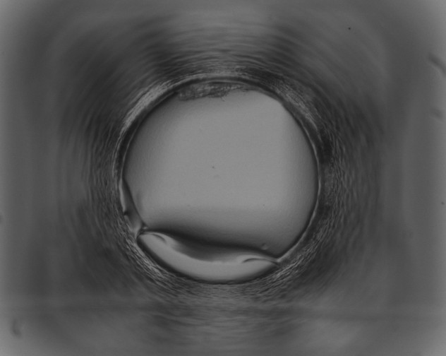 X0000097480789200803201508