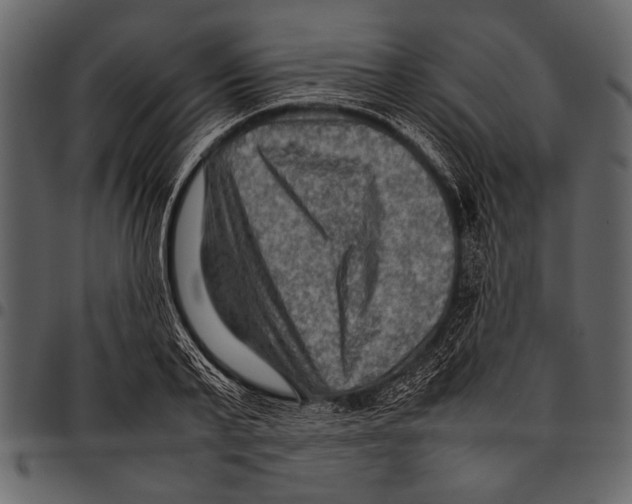 X0000097480791200803201508