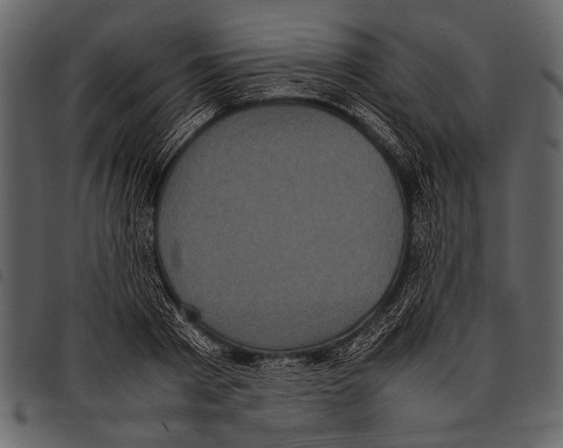 X0000097480793200803201508