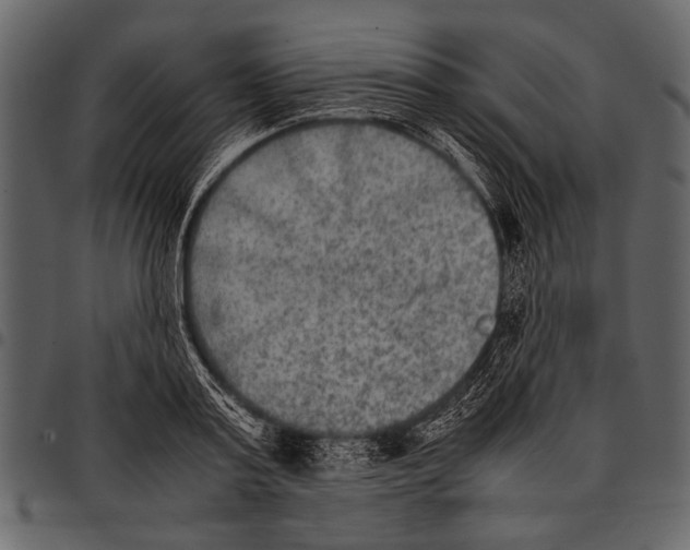 X0000097480795200803201508