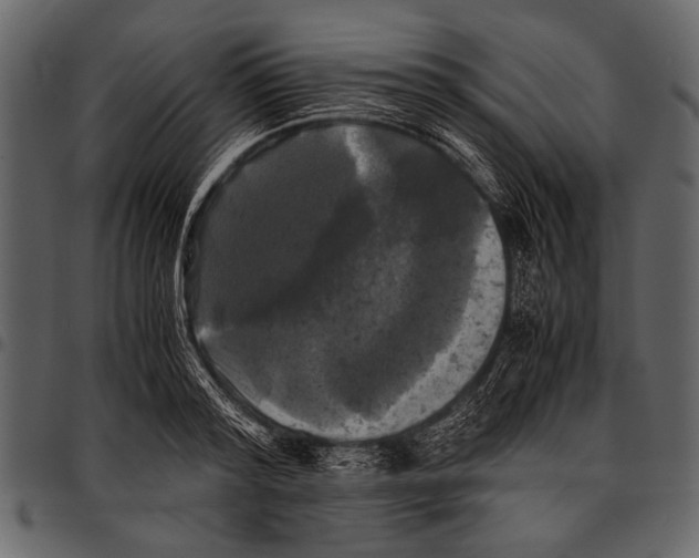 X0000097480796200803201508