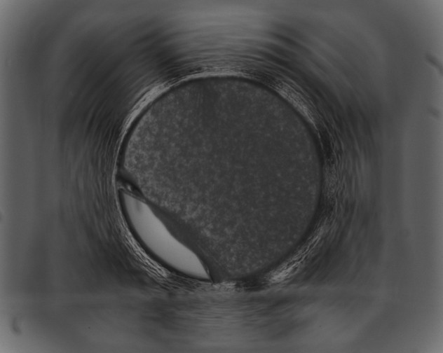 X0000097480797200803201508