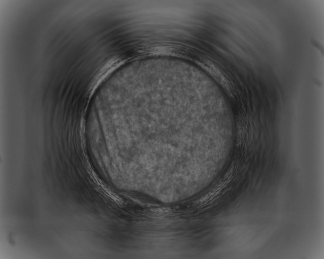 X0000097480798200803201508