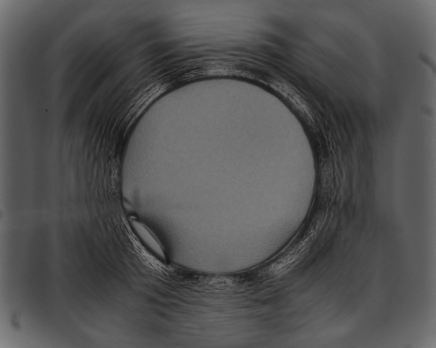 X0000097480801200803201508