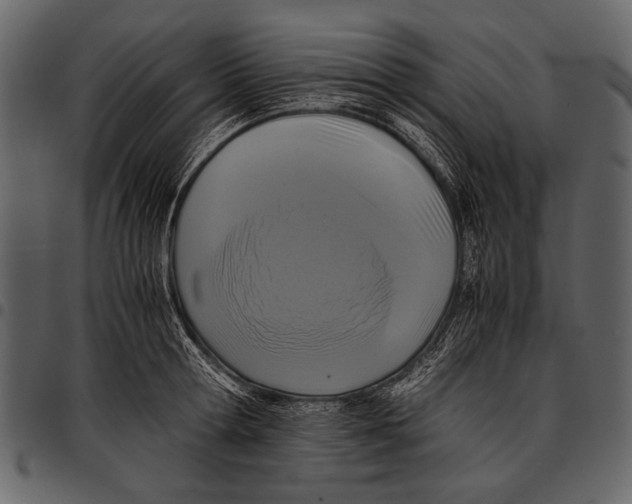 X0000097480802200803201508