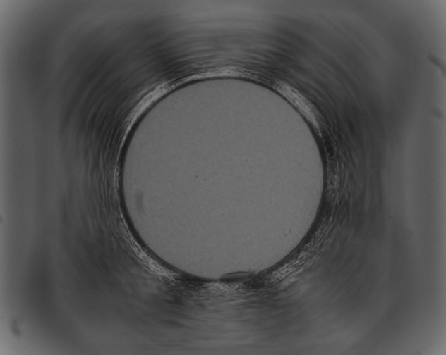 X0000097480805200803201508