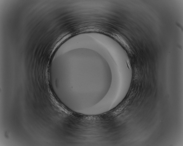 X0000097480806200803201508