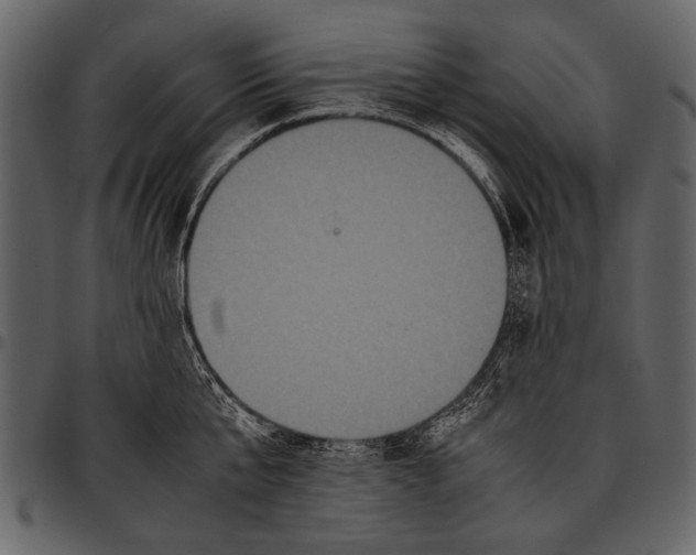 X0000097480807200803201508