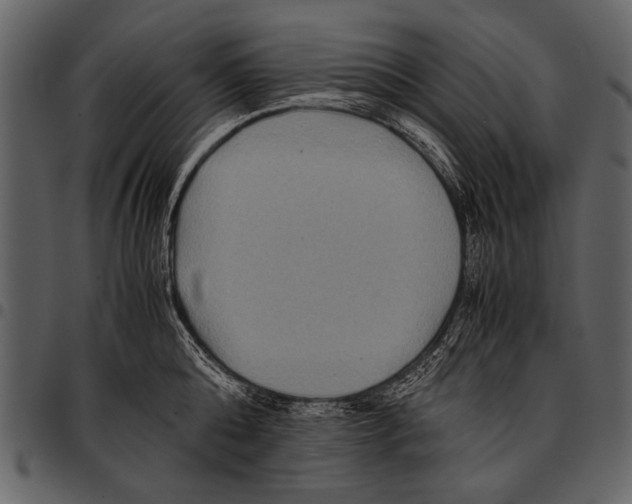 X0000097480808200803201508