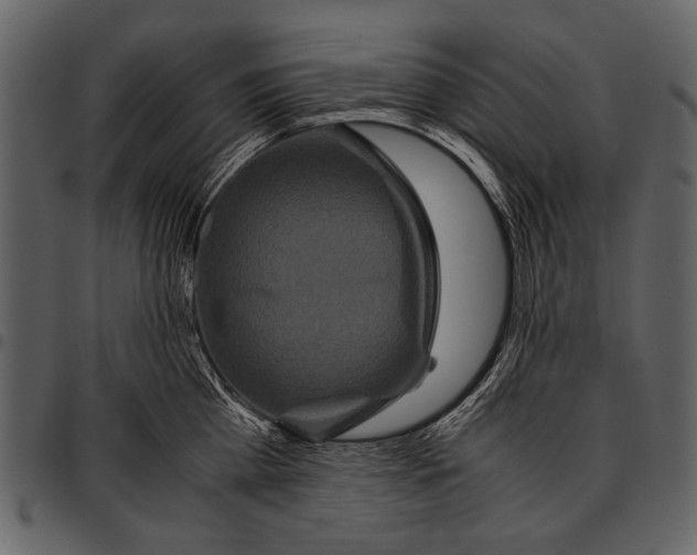 X0000097480809200803201508