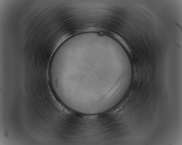 X0000097480810200803201508