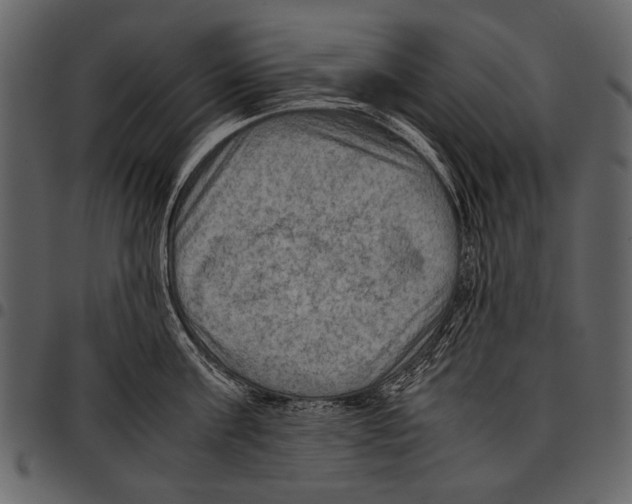 X0000097480811200803201508