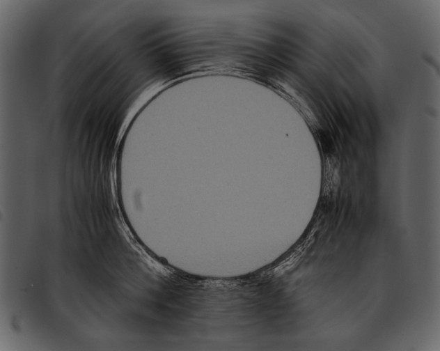 X0000097480812200803201508