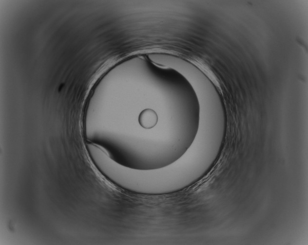 X0000097480813200803201508