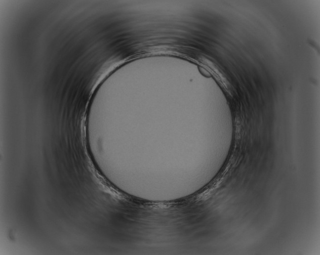 X0000097480814200803201508