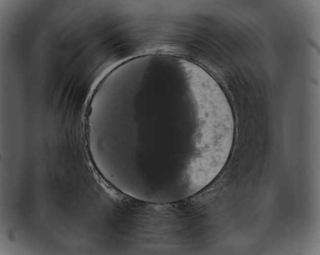 X0000097480816200803201508