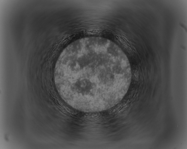 X0000097480817200803201507