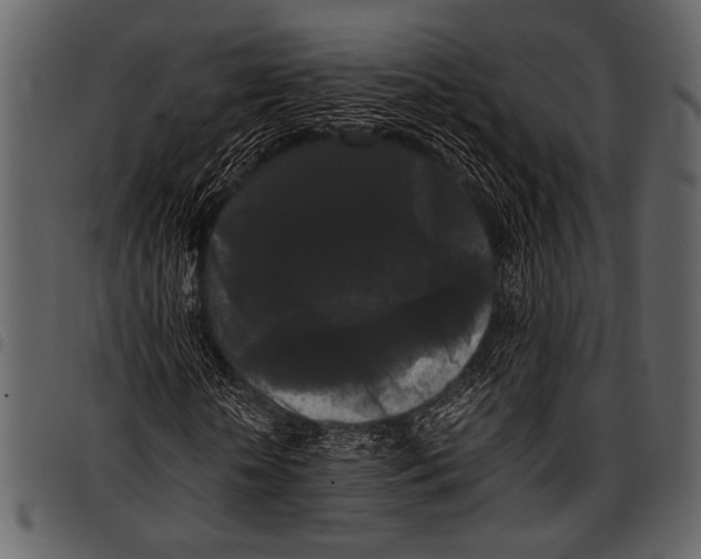 X0000097480818200803201507