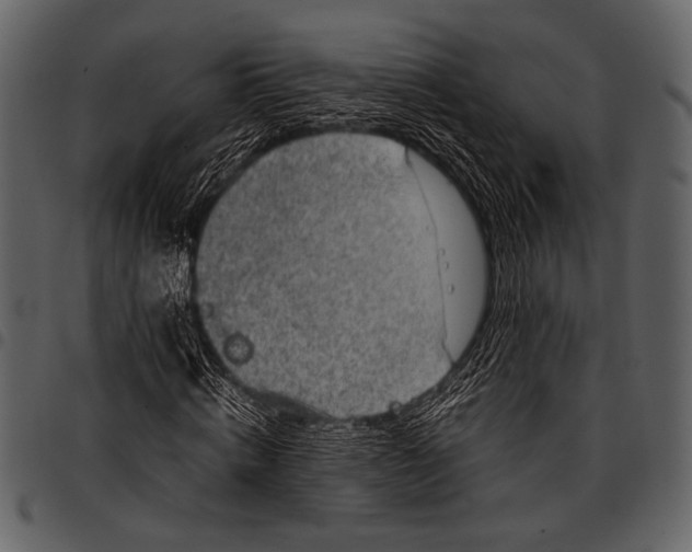 X0000097480820200803201507