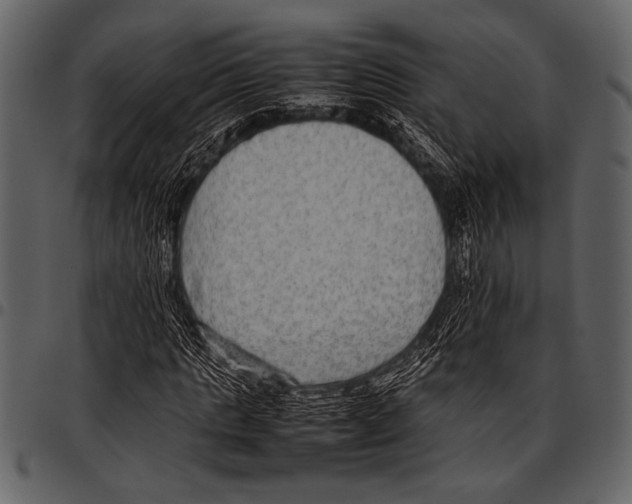 X0000097480821200803201507