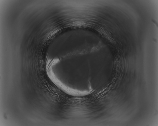 X0000097480822200803201507