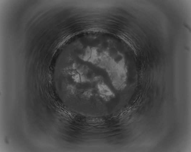 X0000097480823200803201507