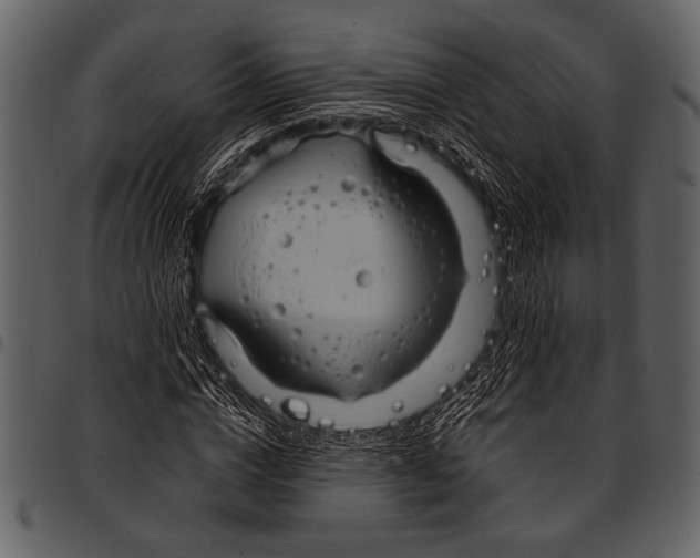 X0000097480824200803201507