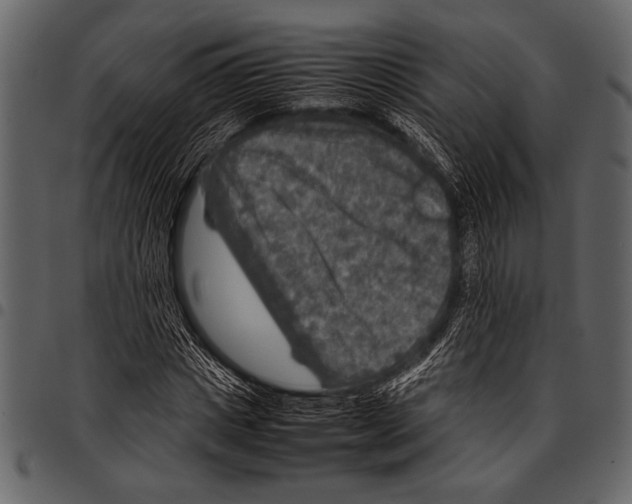 X0000097480825200803201507