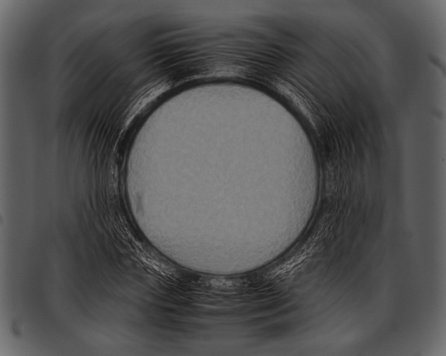 X0000097480827200803201507