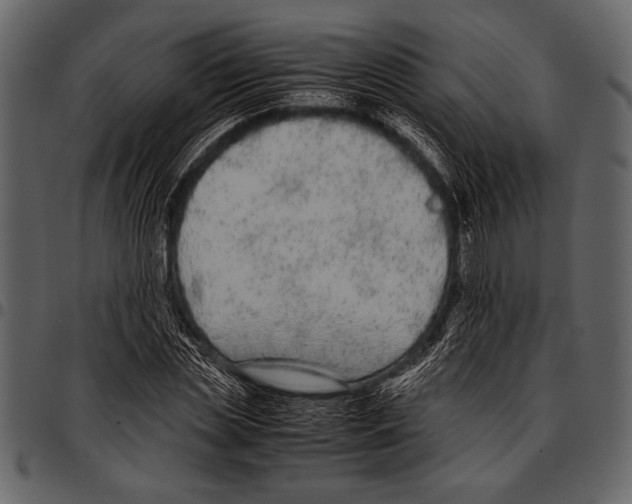 X0000097480829200803201507