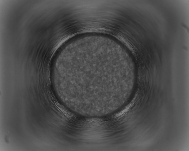 X0000097480830200803201507