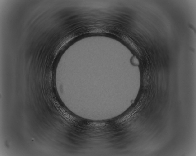 X0000097480831200803201507