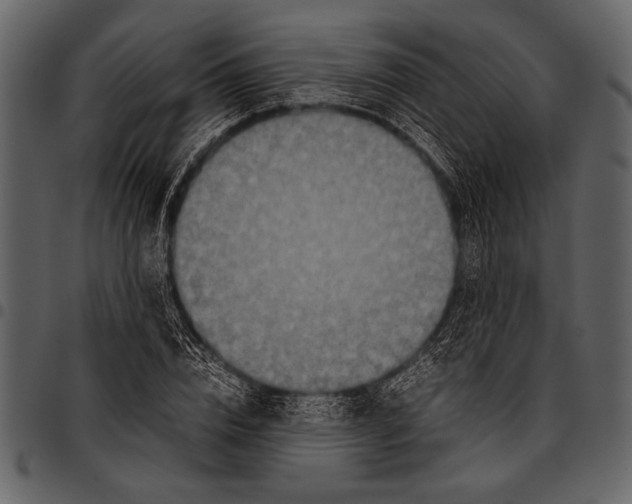 X0000097480832200803201507