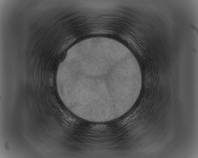 X0000097480833200803201507