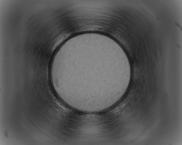 X0000097480834200803201507