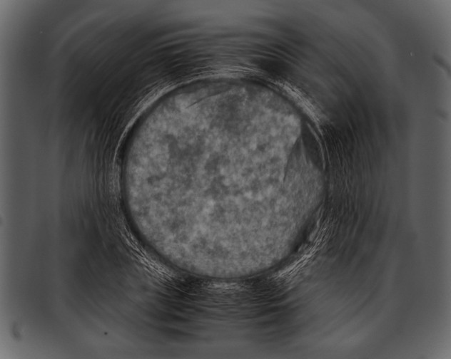 X0000097480835200803201507