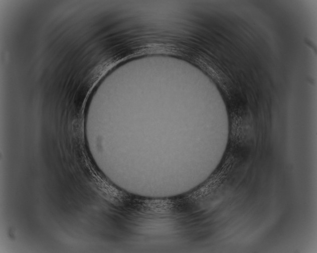 X0000097480836200803201507