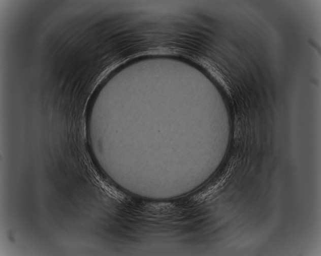 X0000097480837200803201507