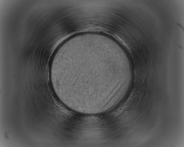 X0000097480838200803201507