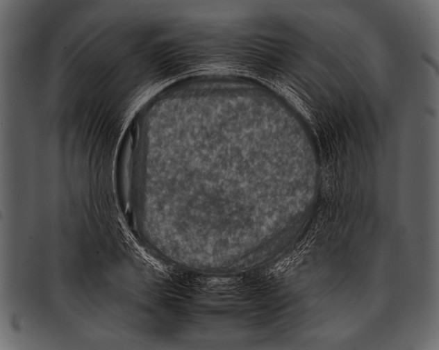 X0000097480839200803201507