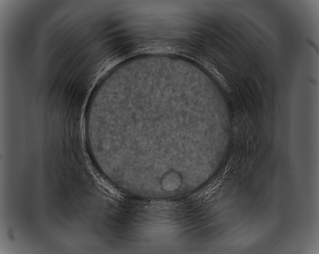 X0000097480840200803201507